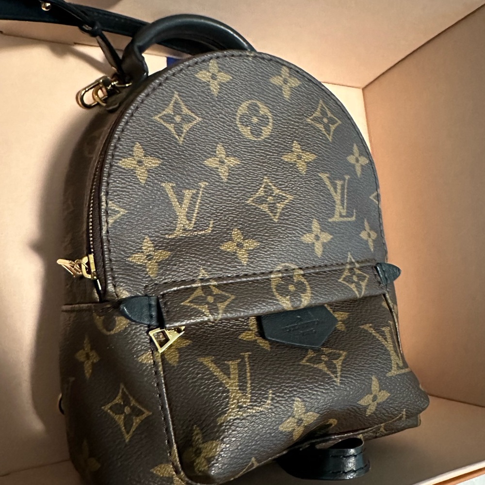 Louis Vuitton Palm Springs mini backpack purse
